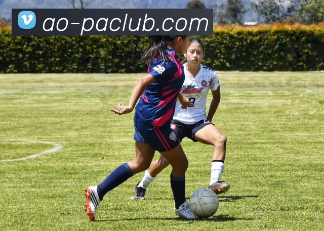 PA集团体育APP 体育赛事宣传图